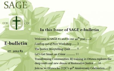 SAGE e-bulletin #2 is now available in French